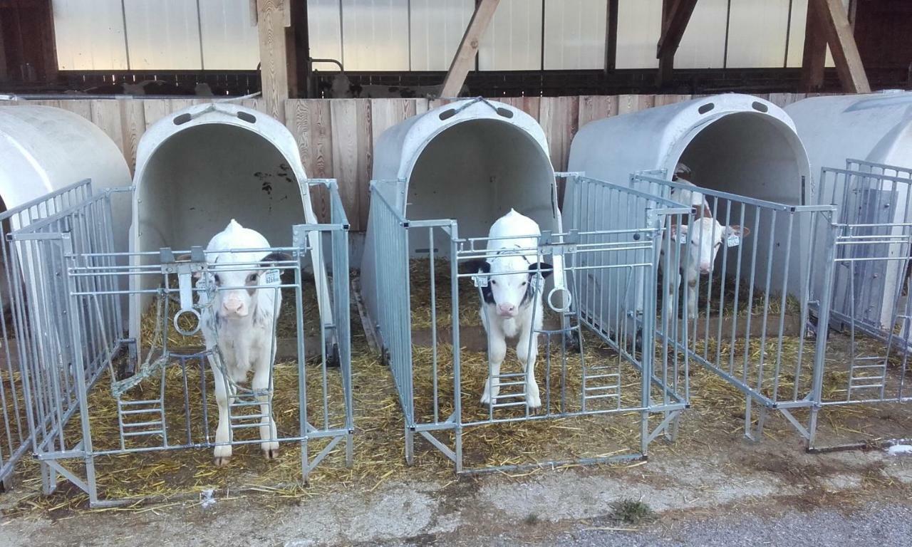 Ferienhaus Reinfrank Sankt Michael im Lungau Kültér fotó